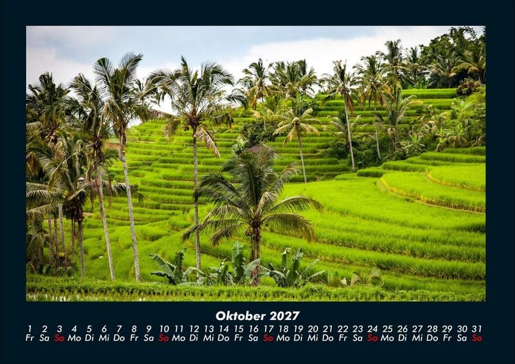 Produktbild: Palmentraum 2027 Fotokalender DIN A4