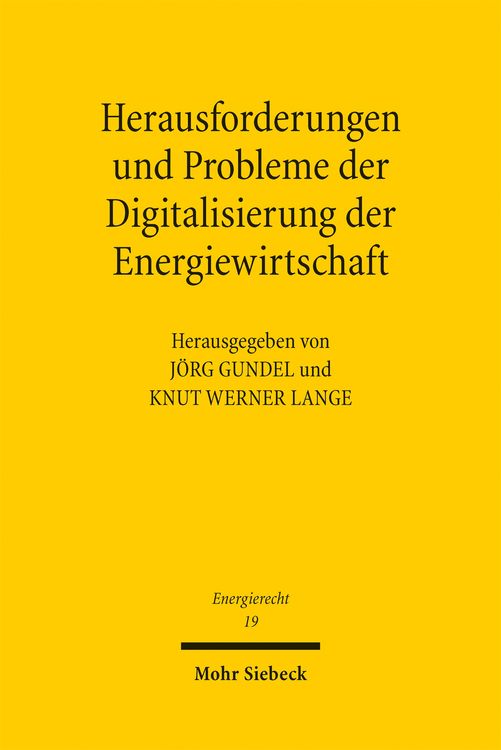 Produktbild: Herausforderungen und Probleme der Digitalisierung der Energiewirtschaft