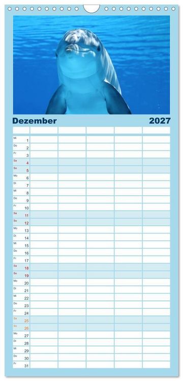 Produktbild: Familienplaner 2027 - Delfine und Wale mit 5 Spalten (Wandkalender, 21 x 45 cm) CALVENDO