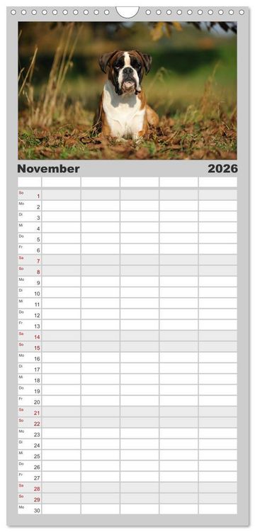 Produktbild: Familienplaner 2026 - Gut - besser - Boxer mit 5 Spalten (Wandkalender, 21 x 45 cm) CALVENDO