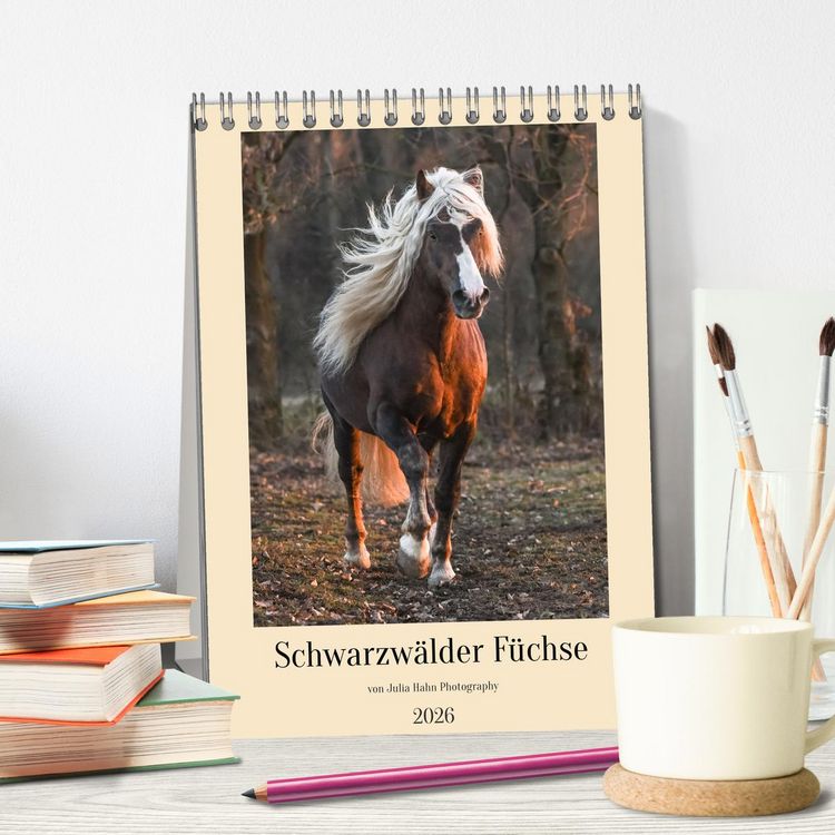 Produktbild: Schwarzw&auml;lder F&uuml;chse von Julia Hahn Photography (Tischkalender 2026 DIN A5 hoch), CALVENDO Monatskalender