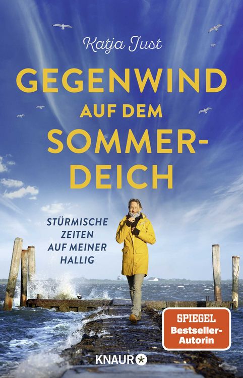 Produktbild: Gegenwind auf dem Sommerdeich