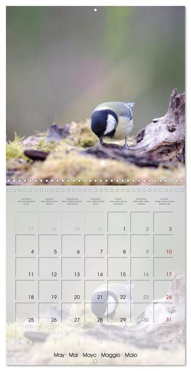 Produktbild: Le jardin des m&eacute;sanges (Calendrier mural carr&eacute; 2026 30x30 cm) Calendrier double avec une page pour vos prises de notes
