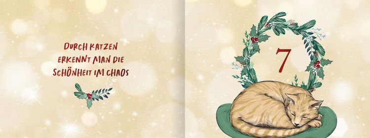 Produktbild: Pfoten vom Tannenbaum