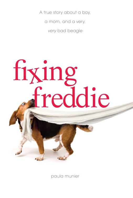 Produktbild: Fixing Freddie