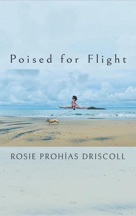 Produktbild: Poised for Flight