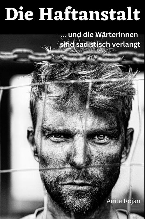 Produktbild: Die Haftanstalt