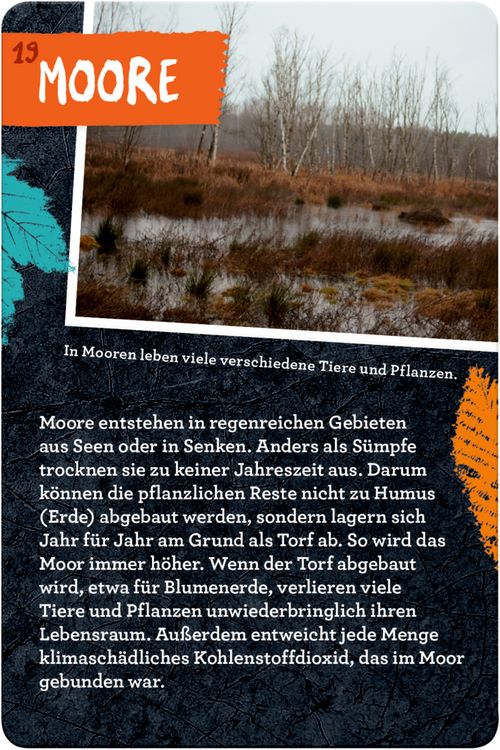 Produktbild: 50 Naturschutz-Projekte