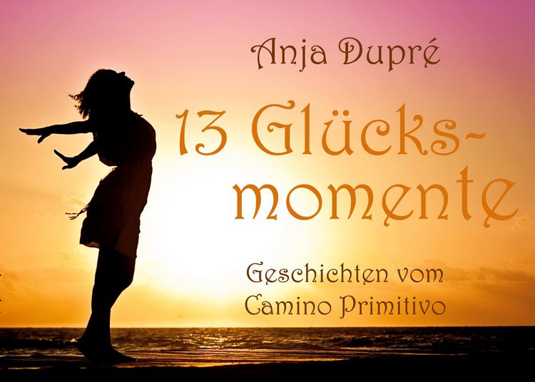 Produktbild: 13 Gl&uuml;cksmomente