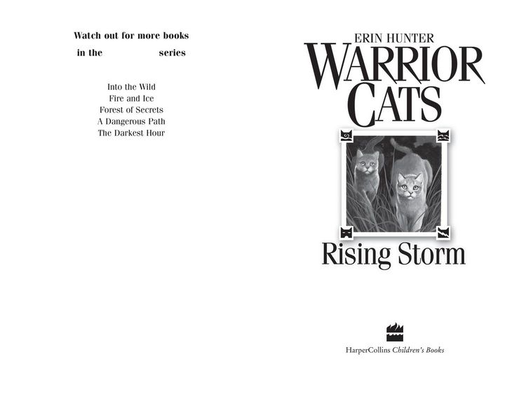 Produktbild: Rising Storm