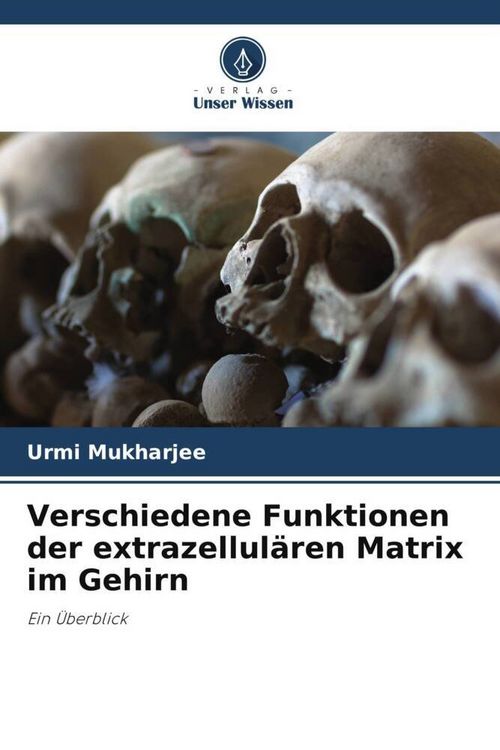 Produktbild: Verschiedene Funktionen der extrazellul&auml;ren Matrix im Gehirn