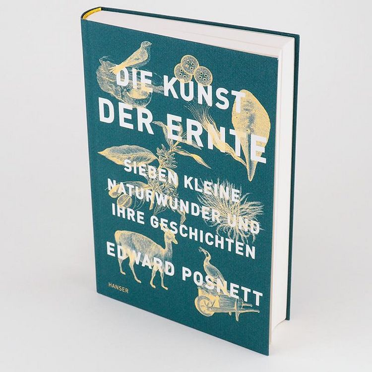 Produktbild: Die Kunst der Ernte