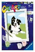 Produktbild: CreArt - Border Collie Welpe