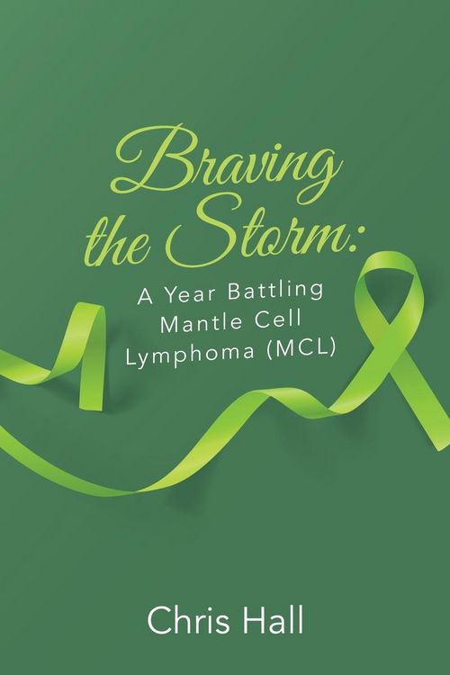 Produktbild: Braving the Storm