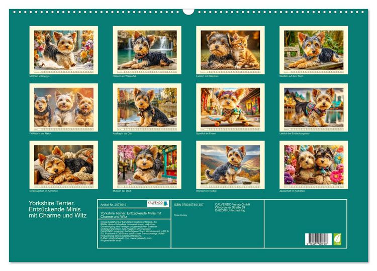 Produktbild: Yorkshire Terrier. Entz&uuml;ckende Minis mit Charme und Witz (Wandkalender 2026 DIN A2 quer), CALVENDO Monatskalender