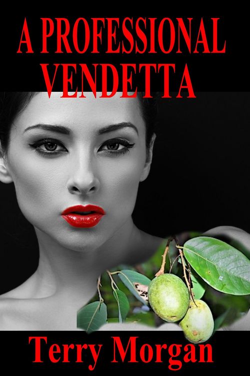 Produktbild: A Professional Vendetta