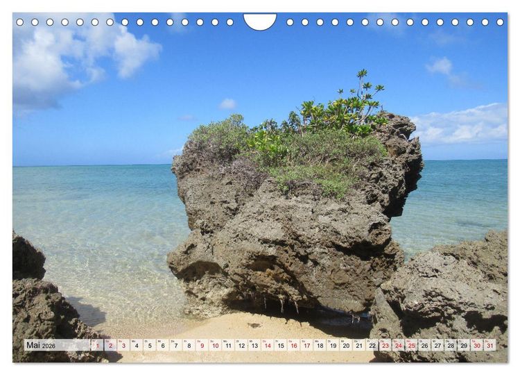 Produktbild: Ishigaki & Miyako - Subtropisches Inselparadies im S&uuml;den Japans (Wandkalender 2026 DIN A4 quer), CALVENDO Monatskalender