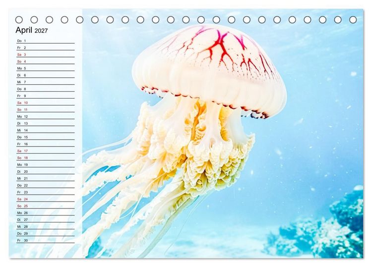 Produktbild: Quallen - Faszinierende Urzeitwesen der Meere (Tischkalender 2027 DIN A5 quer), CALVENDO Monatskalender