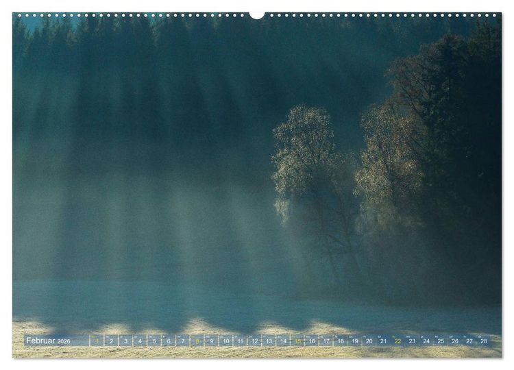 Produktbild: Spaziergang im Wald (hochwertiger Premium Wandkalender 2026 DIN A2 quer), Kunstdruck in Hochglanz