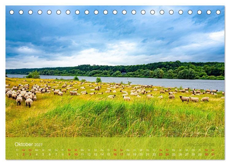 Produktbild: der elbestrom natur (Tischkalender 2027 DIN A5 quer), CALVENDO Monatskalender