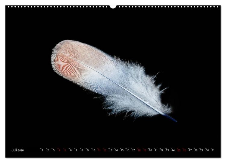 Produktbild: Federleichte Momente (Wandkalender 2026 DIN A2 quer), CALVENDO Monatskalender