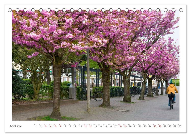 Produktbild: Buntes und bl&uuml;hendes Borkum (Tischkalender 2026 DIN A5 quer), CALVENDO Monatskalender