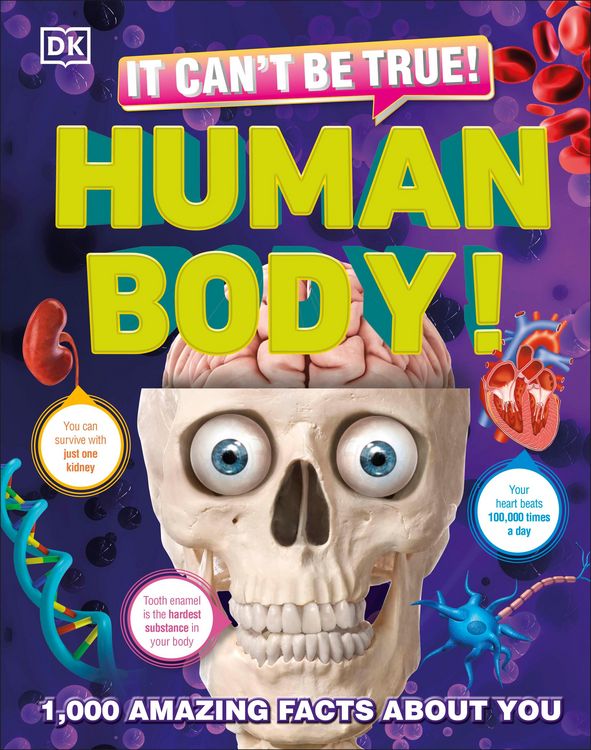 Produktbild: It Can't Be True! Human Body!