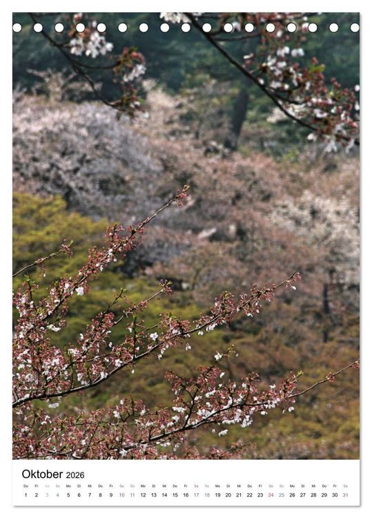 Produktbild: Japan - Kirschbl&uuml;ten (Tischkalender 2026 DIN A5 hoch), CALVENDO Monatskalender