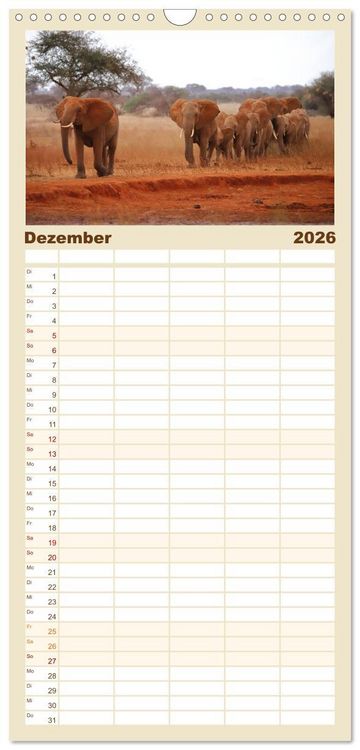 Produktbild: Familienplaner 2026 - Kenias wilde Elefanten mit 5 Spalten (Wandkalender, 21 x 45 cm) CALVENDO