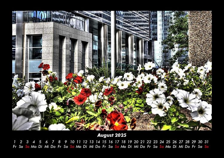 Produktbild: Blumenkalender 2025 Fotokalender DIN A3