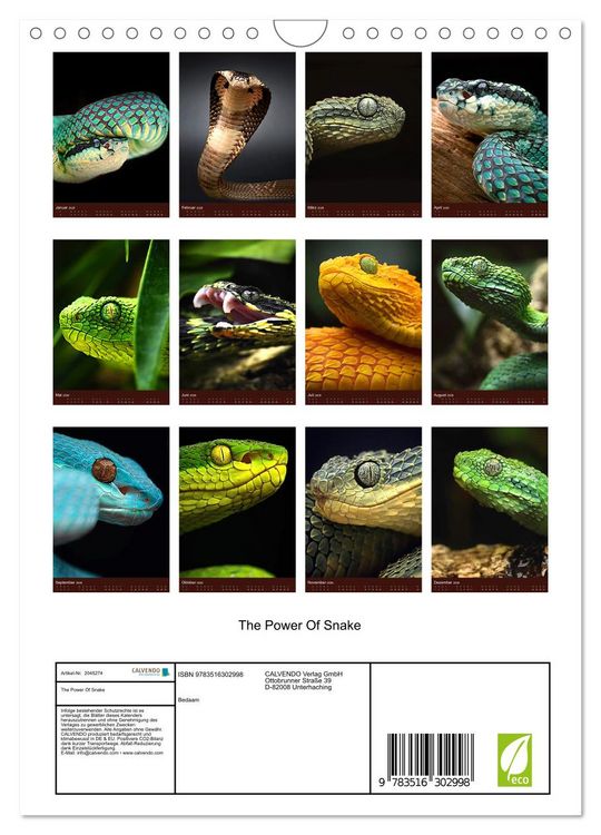 Produktbild: The Power Of Snake (Wandkalender 2026 DIN A4 hoch), CALVENDO Monatskalender
