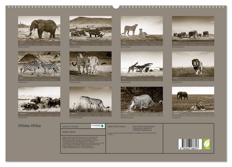 Produktbild: Wildes Afrika (hochwertiger Premium Wandkalender 2026 DIN A2 quer), Kunstdruck in Hochglanz