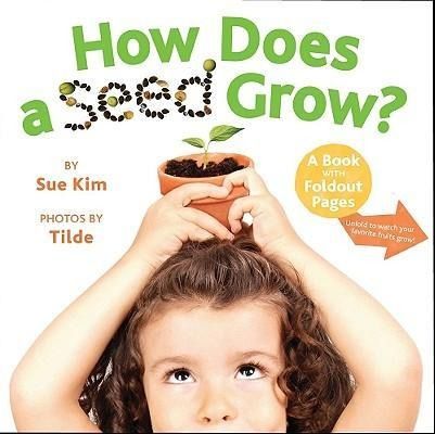 Produktbild: How Does a Seed Grow?: A Book with Foldout Pages