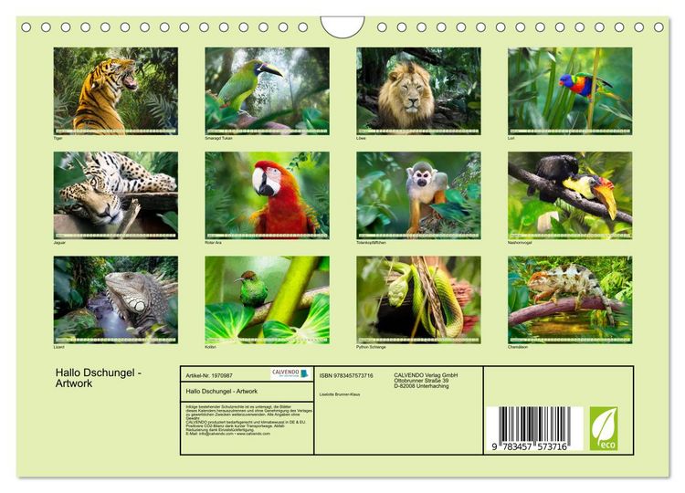 Produktbild: Hallo Dschungel - Artwork (Wandkalender 2026 DIN A4 quer), CALVENDO Monatskalender