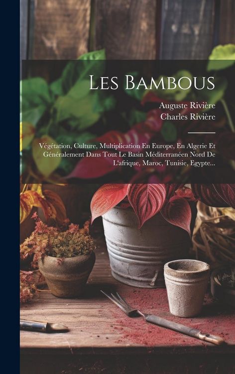 Produktbild: Les Bambous: V&eacute;g&eacute;tation, Culture, Multiplication En Europe, En Algerie Et G&eacute;n&eacute;ralement Dans Tout Le Basin M&eacute;diterran&eacute;en Nord De L'a