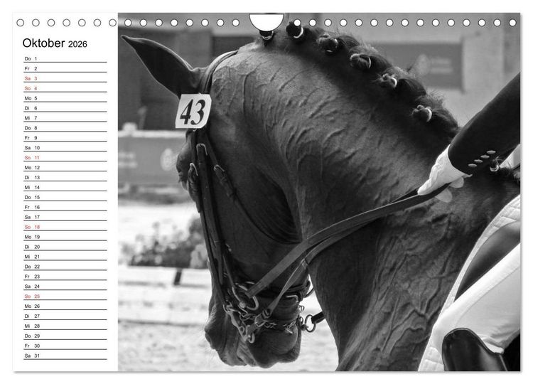 Produktbild: Leidenschaft Pferdesport - Impressionen (Wandkalender 2026 DIN A4 quer), CALVENDO Monatskalender