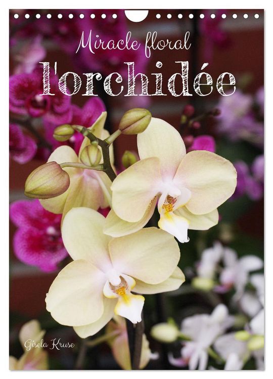 Produktbild: Miracle floral l'orchid&eacute;e (Calendrier mural 2026 DIN A4 horizontal), CALVENDO calendrier mensuel