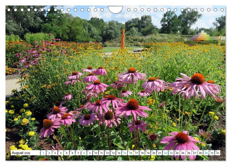 Produktbild: Rathenow - Gr&uuml;ne Stadt an der Havel (Wandkalender 2026 DIN A4 quer), CALVENDO Monatskalender