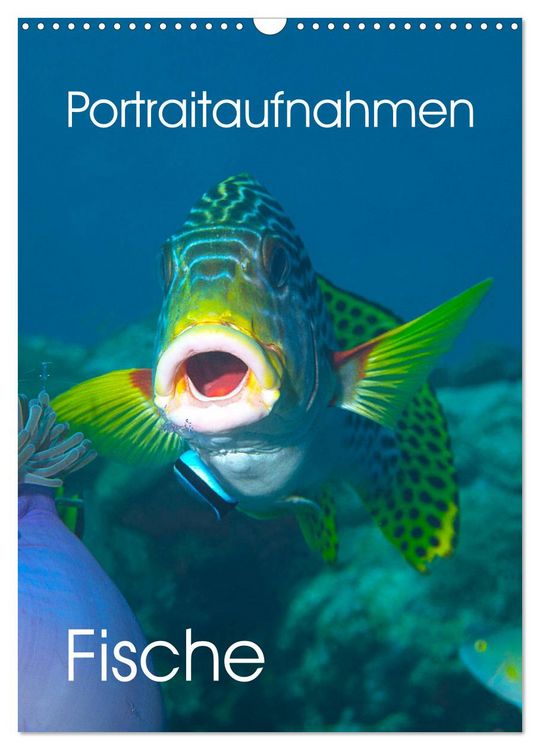 Produktbild: Portraitaufnahmen - Fische (Wandkalender 2026 DIN A3 hoch), CALVENDO Monatskalender