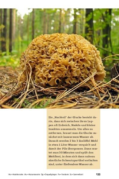 Produktbild: Pilze bestimmen - Der kleine Pilzf&uuml;hrer f&uuml;r Einsteiger und Fortgeschrittene