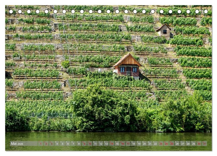Produktbild: Weinbergh&auml;uschen - Schutz- und Werkzeughaus f&uuml;r den Weing&auml;rtner (Tischkalender 2026 DIN A5 quer), CALVENDO Monatskalender