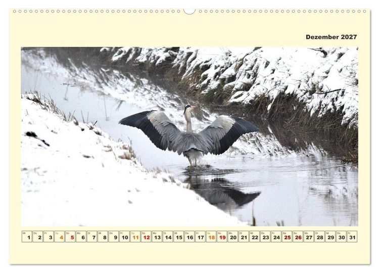 Produktbild: Tierwelt der W&uuml;mmeniederung (Wandkalender 2027 DIN A2 quer), CALVENDO Monatskalender