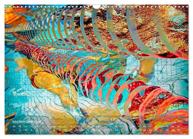 Produktbild: AQUAPASSION (Calendrier mural 2026 DIN A3 vertical), CALVENDO calendrier mensuel
