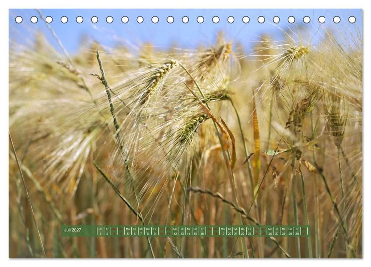 Produktbild: Feldansichten (Tischkalender 2027 DIN A5 quer), CALVENDO Monatskalender