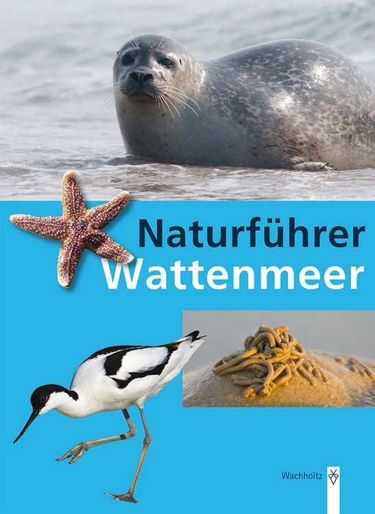 Produktbild: Naturf&uuml;hrer Wattenmeer