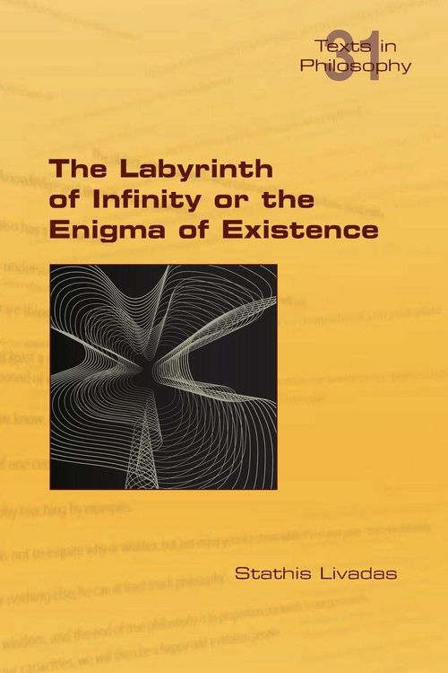 Produktbild: The Labyrinth of Infinity or the Enigma of Existence