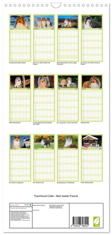 Produktbild: Familienplaner 2027 - Traumhund Collie - Mein bester Freund mit 5 Spalten (Wandkalender, 21 x 45 cm) CALVENDO