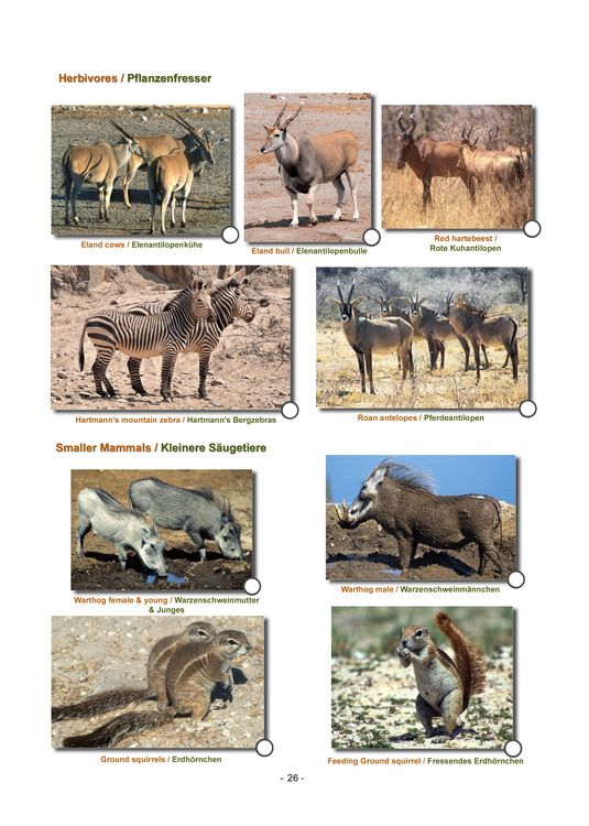 Produktbild: ETOSHA KARTE mit Fotogalerie