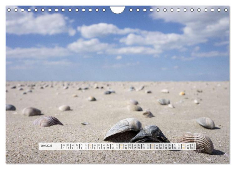 Produktbild: St. Peter-Ording (Wandkalender 2026 DIN A4 quer), CALVENDO Monatskalender