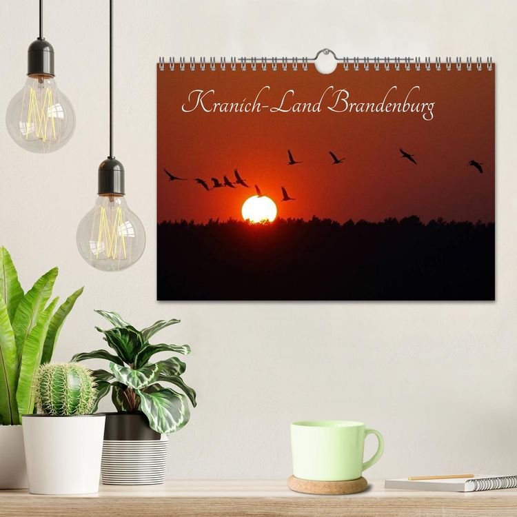 Produktbild: Kranich-Land Brandenburg (Wandkalender 2026 DIN A4 quer), CALVENDO Monatskalender